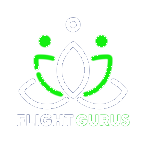 Flight Gurus Logo