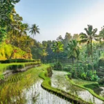 Exploring the Magnificence of Bali: A Comprehensive Travel Guide