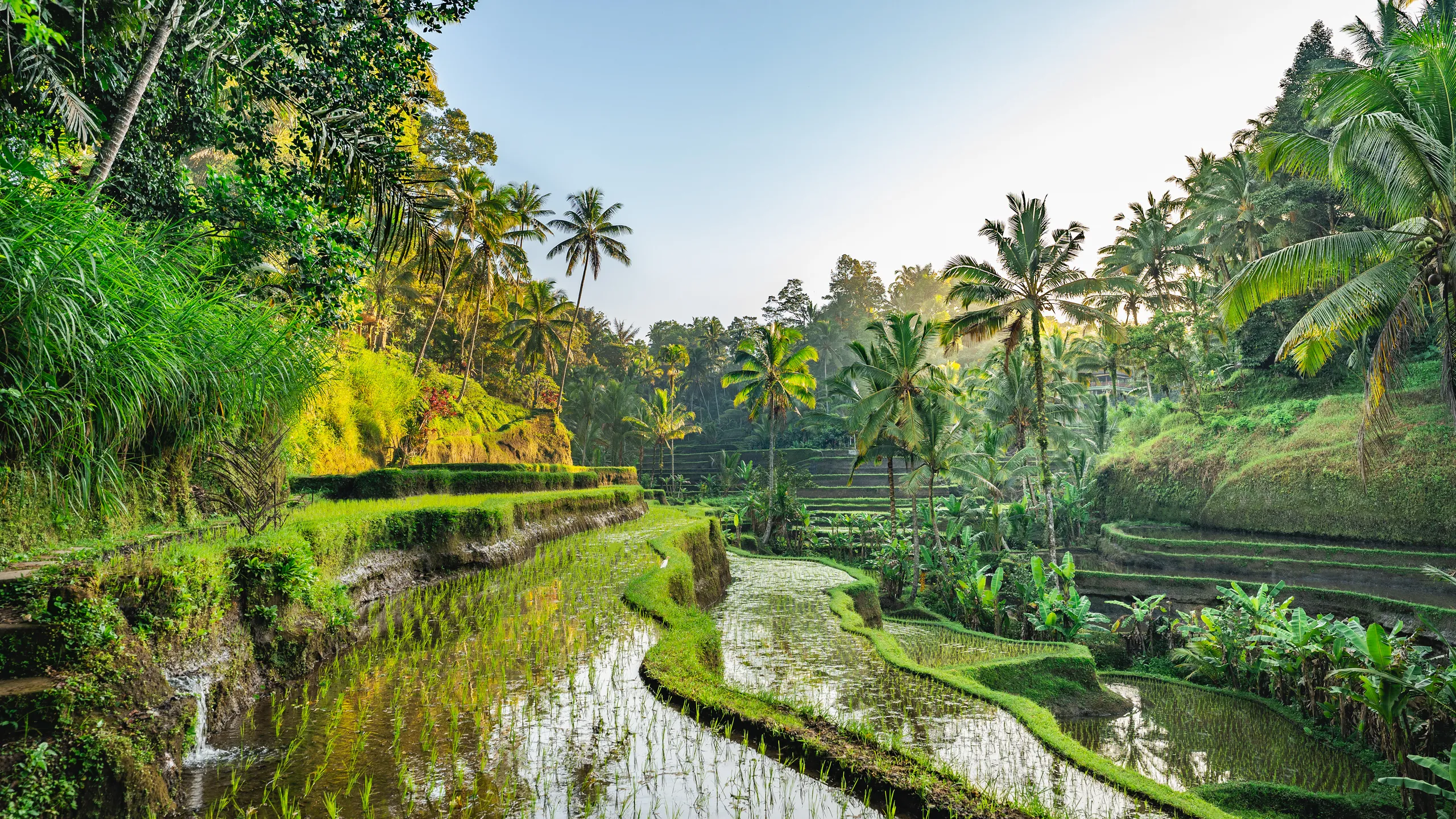 Exploring the Magnificence of Bali: A Comprehensive Travel Guide