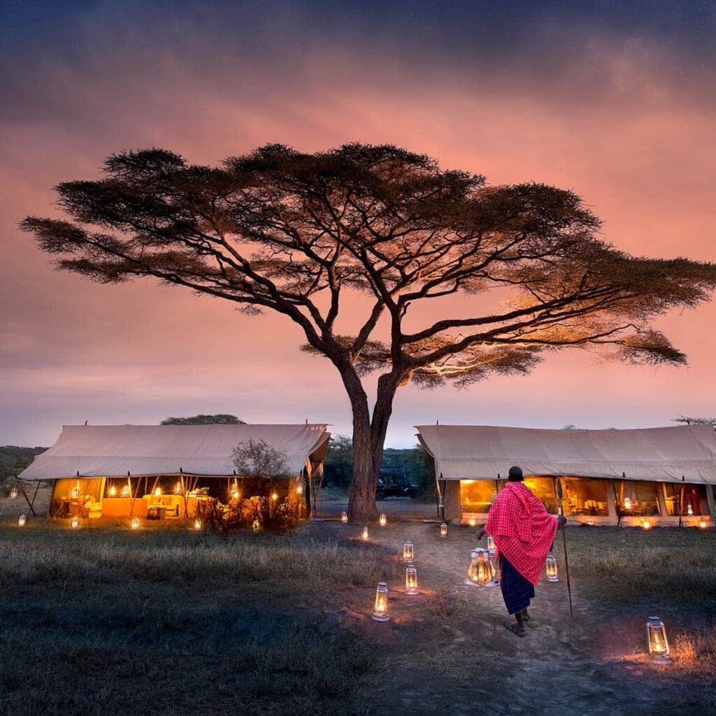 Exploring the Wonders of the Serengeti: An African Safari Adventure March 14, 2026Popular Destinations Discover the breathtaking landscapes and incredible wildlife of the Serengeti, home to the Great Migration and a haven for safari enthusiasts, with this comprehensive travel guide.