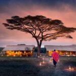 Exploring the Wonders of the Serengeti: An African Safari Adventure March 14, 2026Popular Destinations Discover the breathtaking landscapes and incredible wildlife of the Serengeti, home to the Great Migration and a haven for safari enthusiasts, with this comprehensive travel guide.